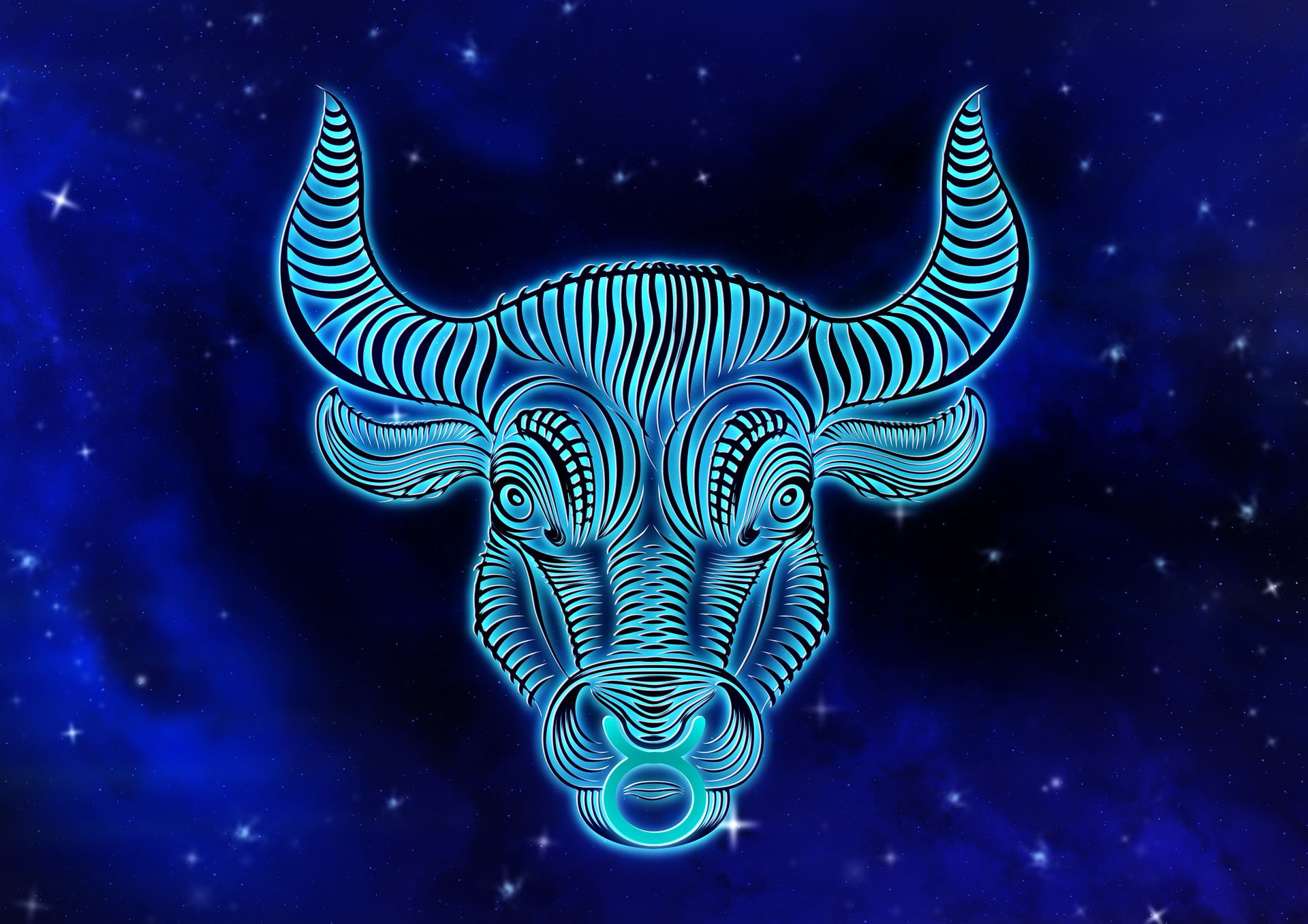 Kontaktanzeigen :  Stier